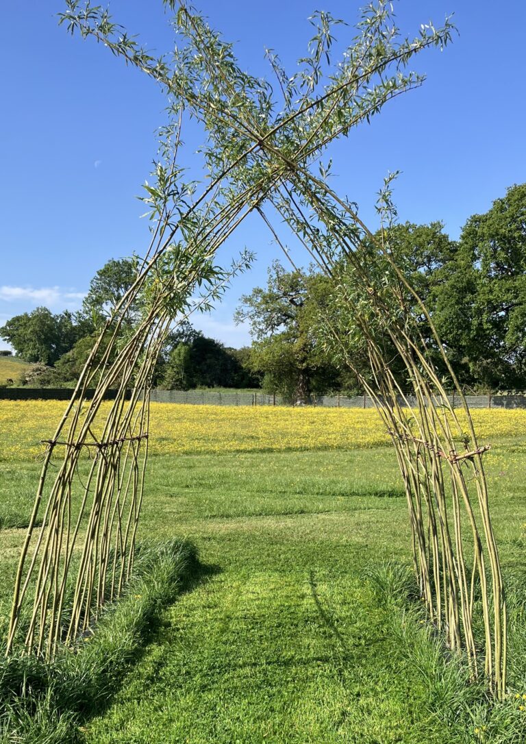 Environmentally Friendly 768x1086