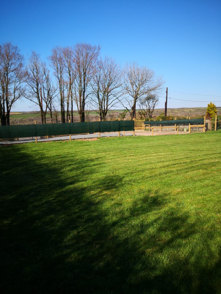 IMG 20250407 161157 768x1024