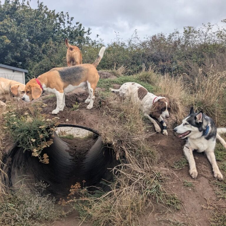 542443567 18343163725167794 6166601059015410301 n 768x768