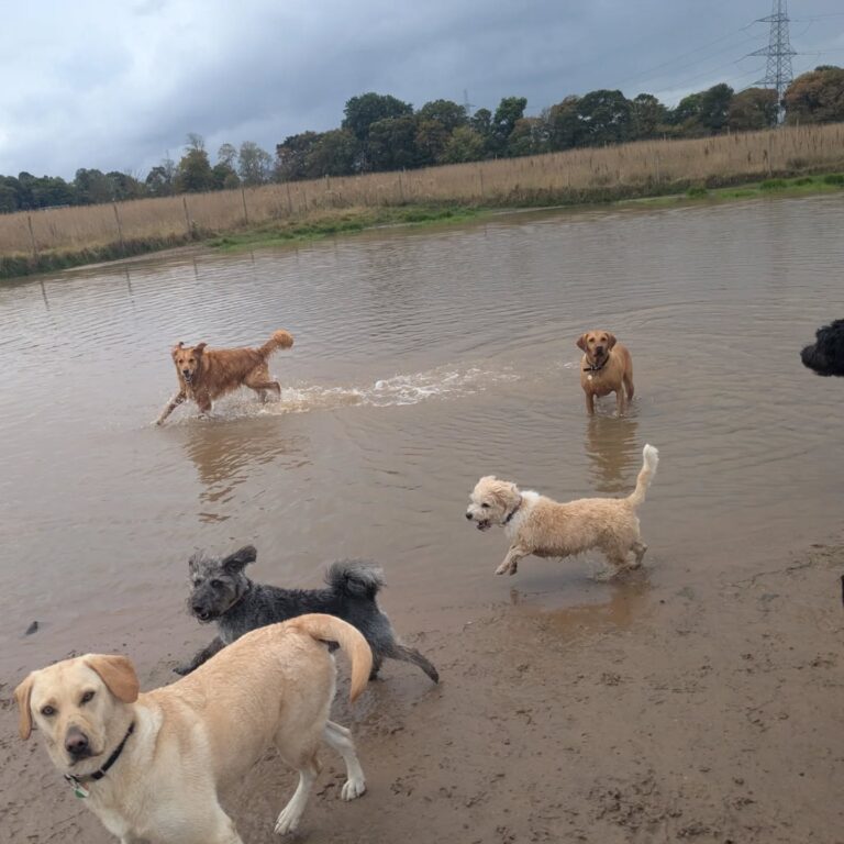 542655224 18343163656167794 5863346070872369092 n 768x768