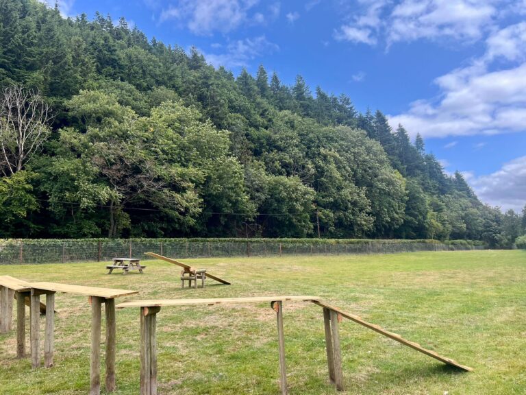 Agility Equipment at Panpwnton Dog Park 768x576