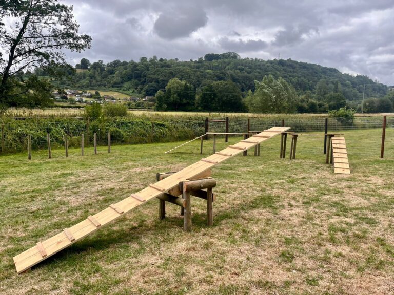 Dog Training Equipment at Panpwnton Dog Park 768x576