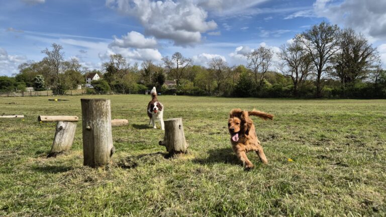 WhatsApp Image 2025 04 25 at 12.35.06 768x432