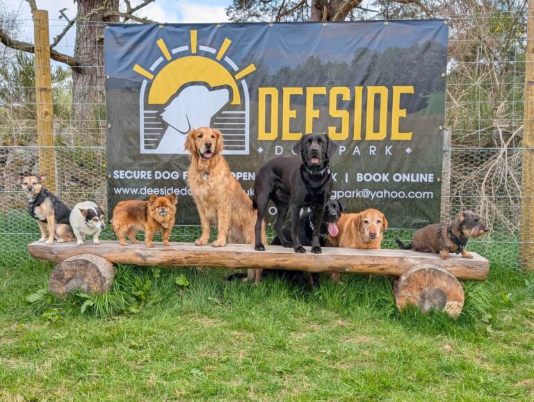 inbound1833847931185408331 768x578