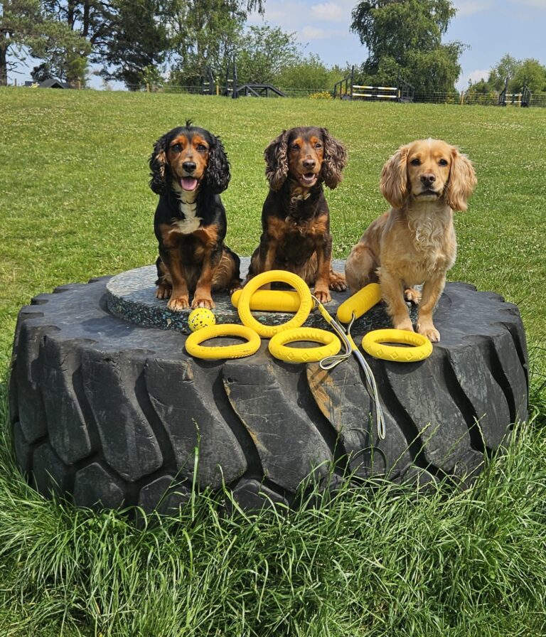 inbound2792901854476590956 768x896