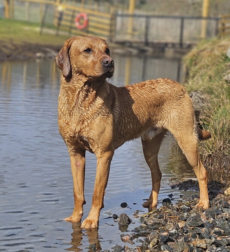 inbound3568384919784552790 768x841