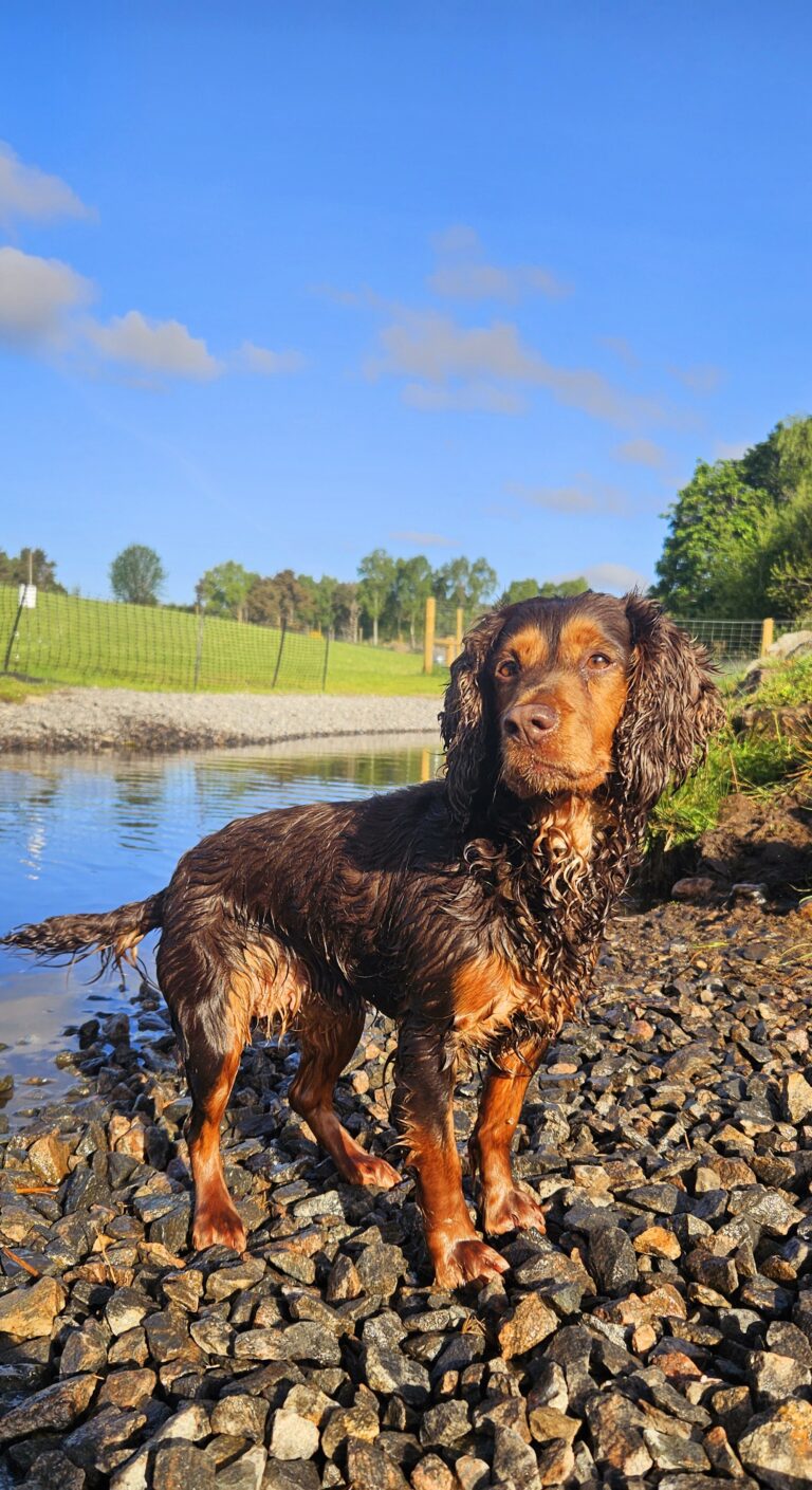 inbound6134097630236691493 768x1409