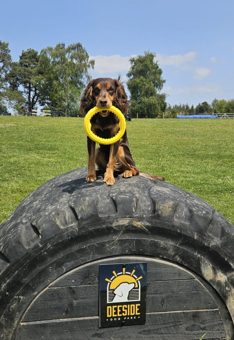 inbound868543916695183366 768x1113