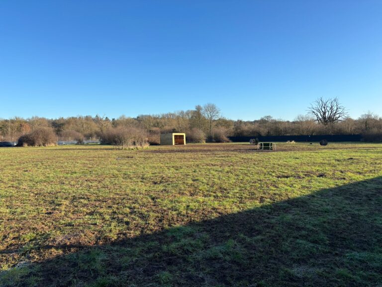 4ee54b10 d245 4284 90d9 ab165f4641de 768x576