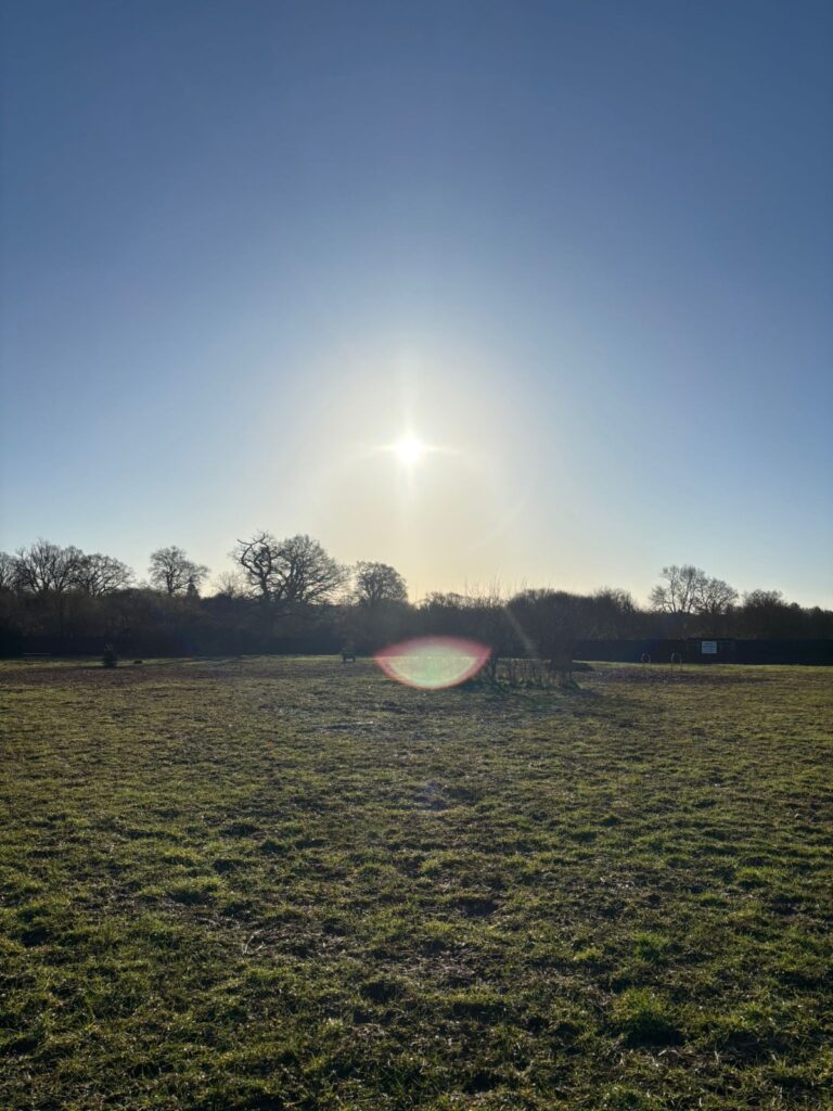 88af9d74 202d 47c5 98b6 71546819cb0f 768x1024