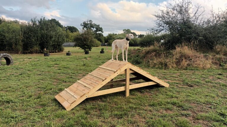 A frame JoJo 768x432