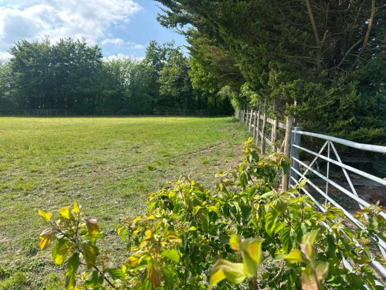 Field Fencing 768x577