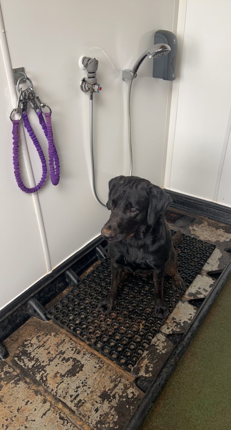 02658D73 1F09 4DC3 84A0 94DA174F5CEB Tessa Pryor 768x1430