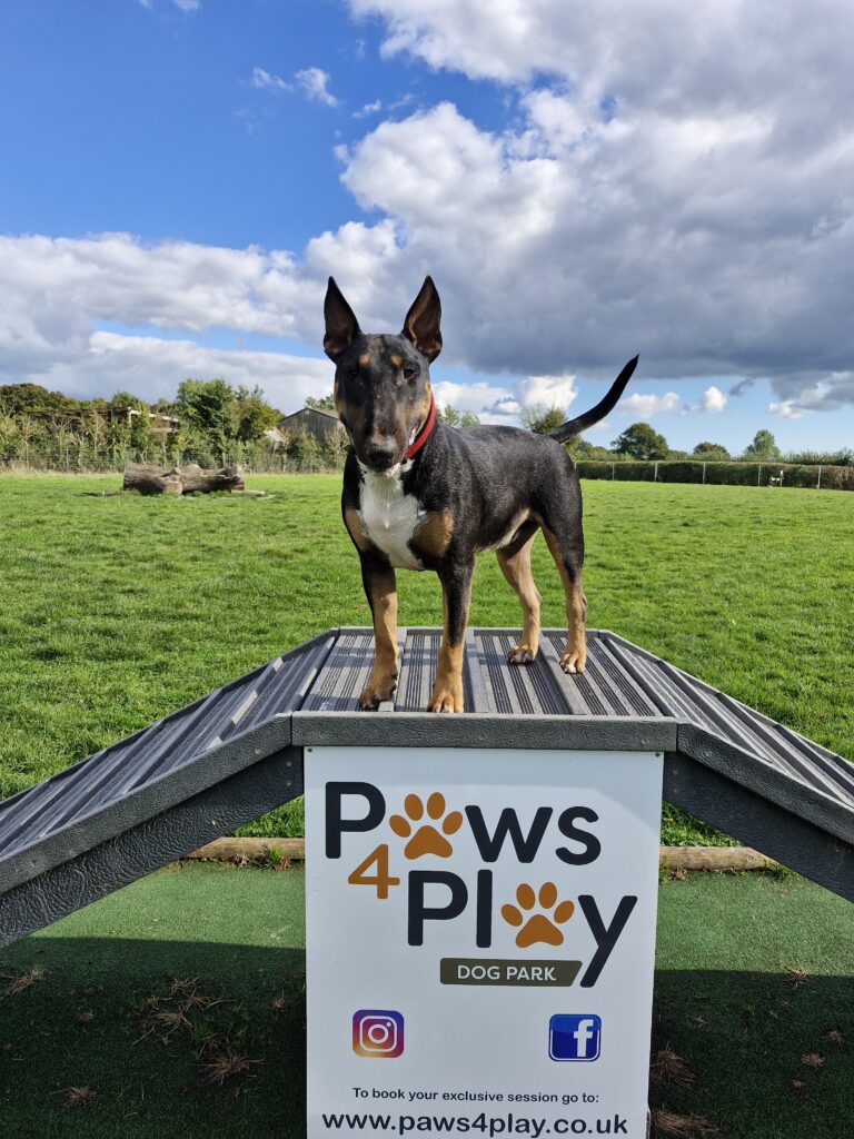 20241003 145523 Tracy Hawkins 768x1024