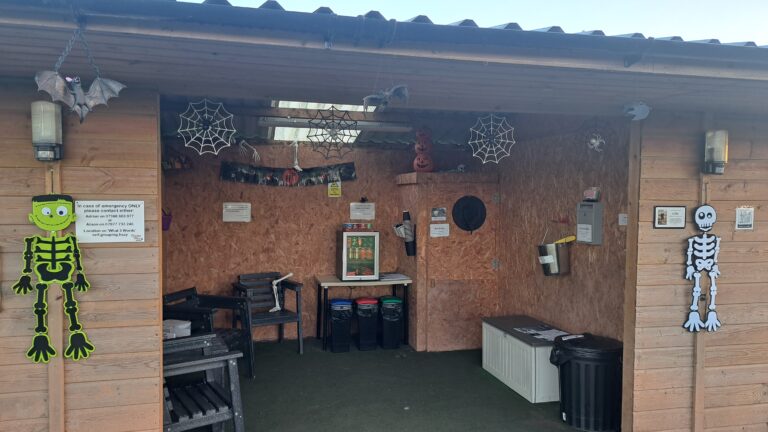 20241026 173526 Trudy miller 768x432