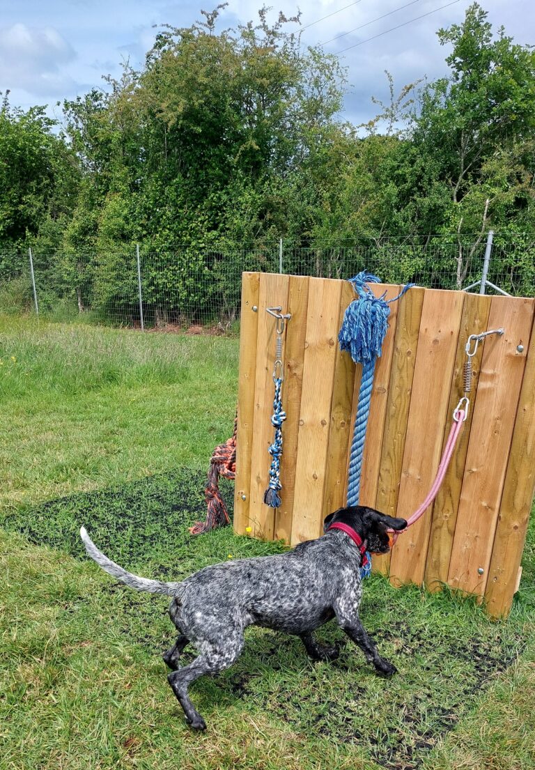 20250605 140157 Karen Shorney 768x1105