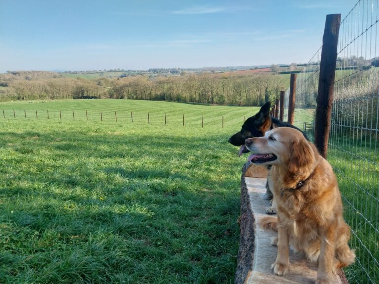 564083931 1704299770417830 5315582967907812293 n 768x576