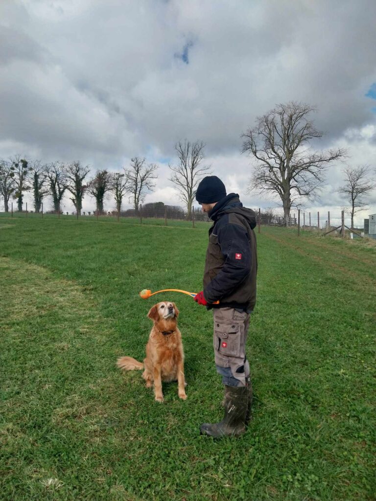 565340332 1704299340417873 4516420585260405714 n 768x1024