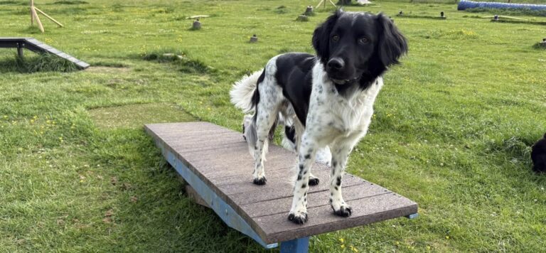 DF Photo Member Banner 2 768x356