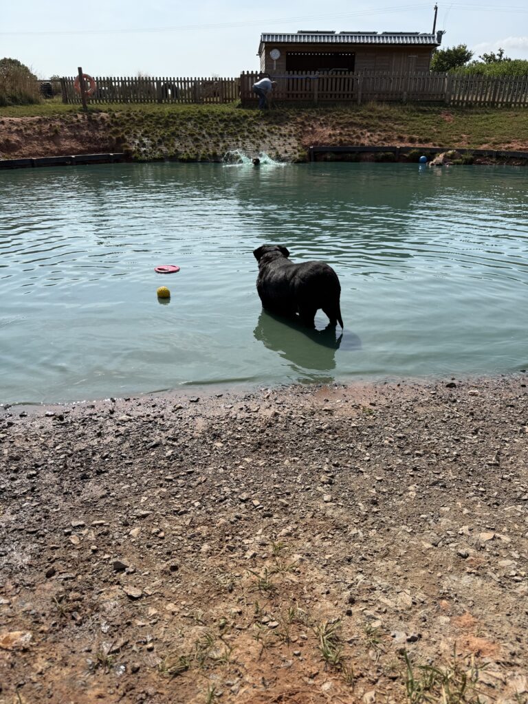 IMG 0879 Angela 768x1024