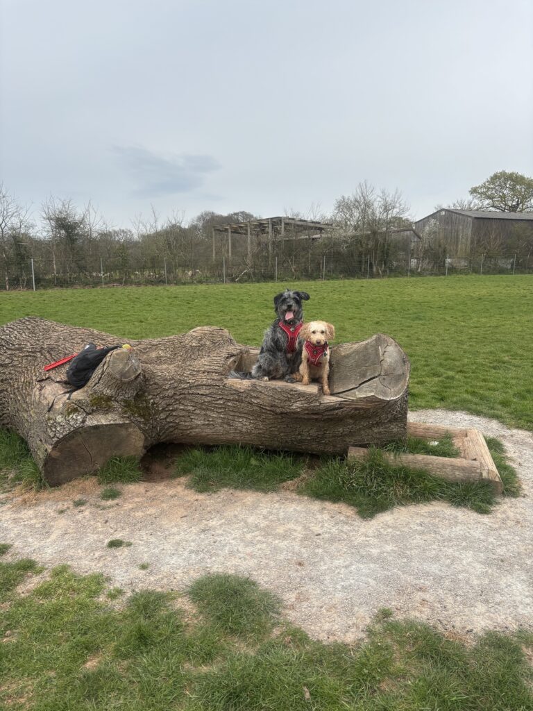 IMG 5301 Luke Holway 768x1024