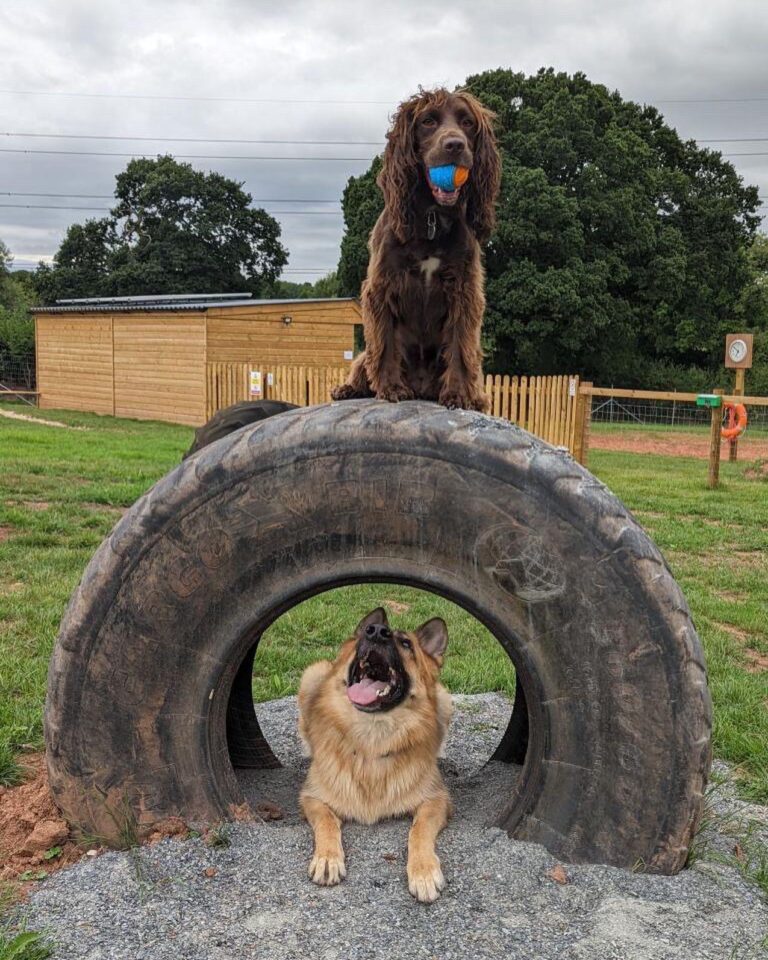 Photo 01 10 2022 12 29 15 2 768x960