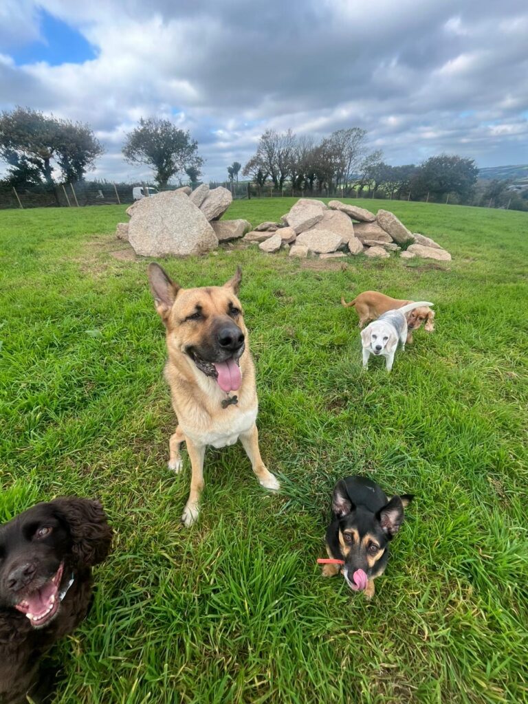 343614d4 80ae 4cc8 9130 6707f341d5d6 768x1024