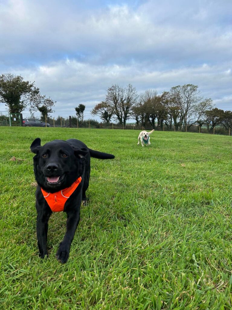 706e8f9627267659ec895169ee1f4946 768x1024