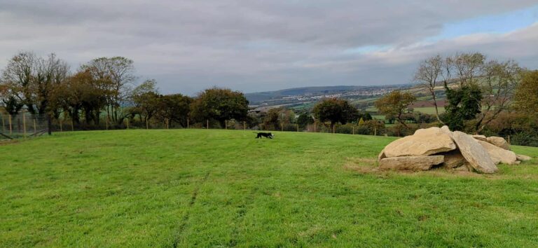 86420d6754307c94ae2adf6cbb49849b 768x354