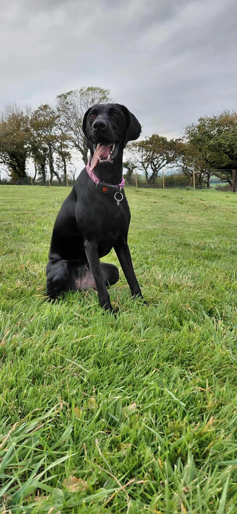 95d30713161e301c2fb559ae004109c7 768x1664