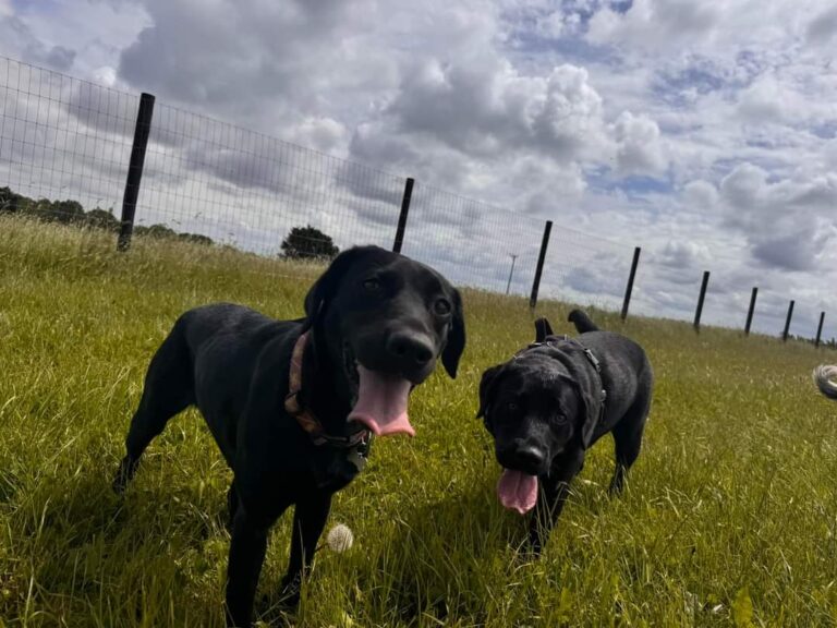 FB IMG 1717584825342 768x576