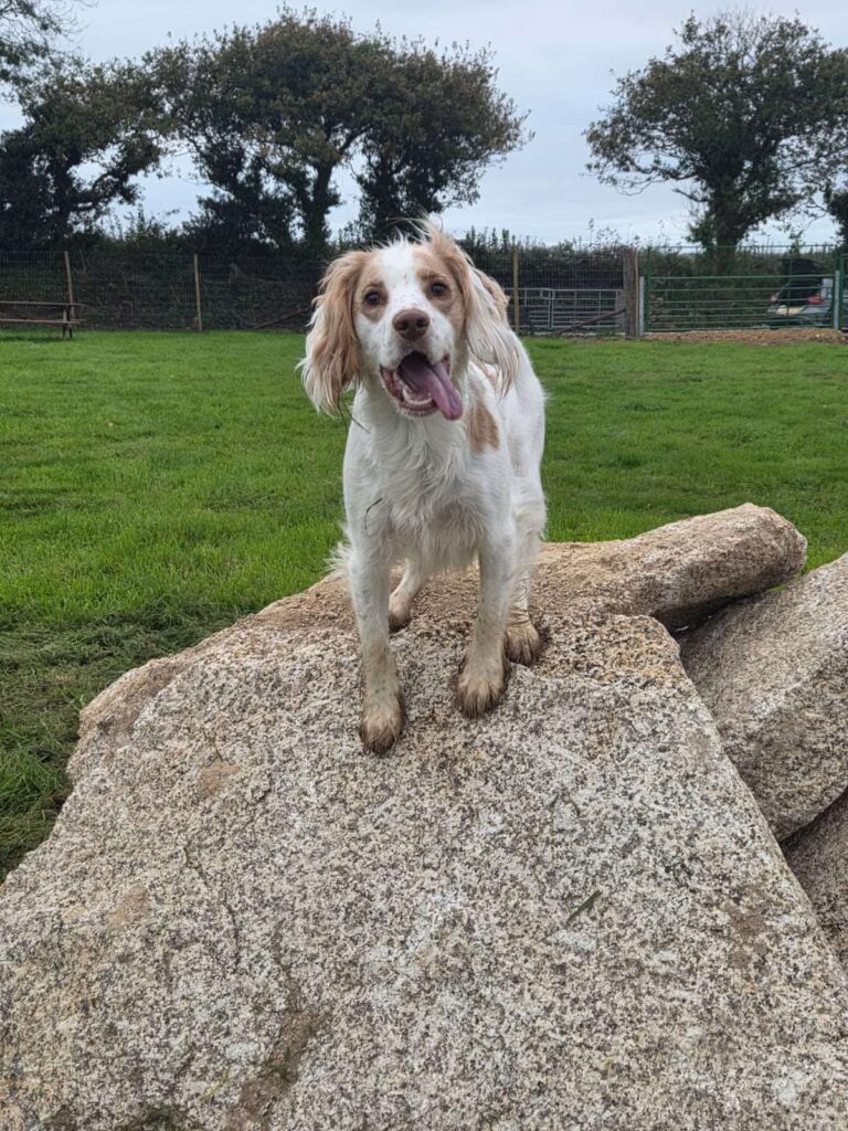 c8dd7b7d10fc46cac43eb7665ada2632 768x1024