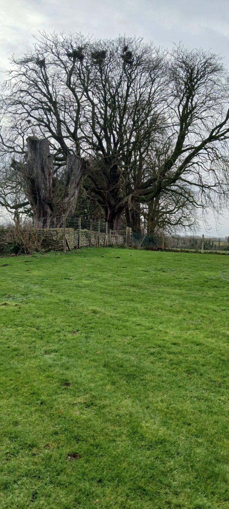 20260109 140635 768x1707