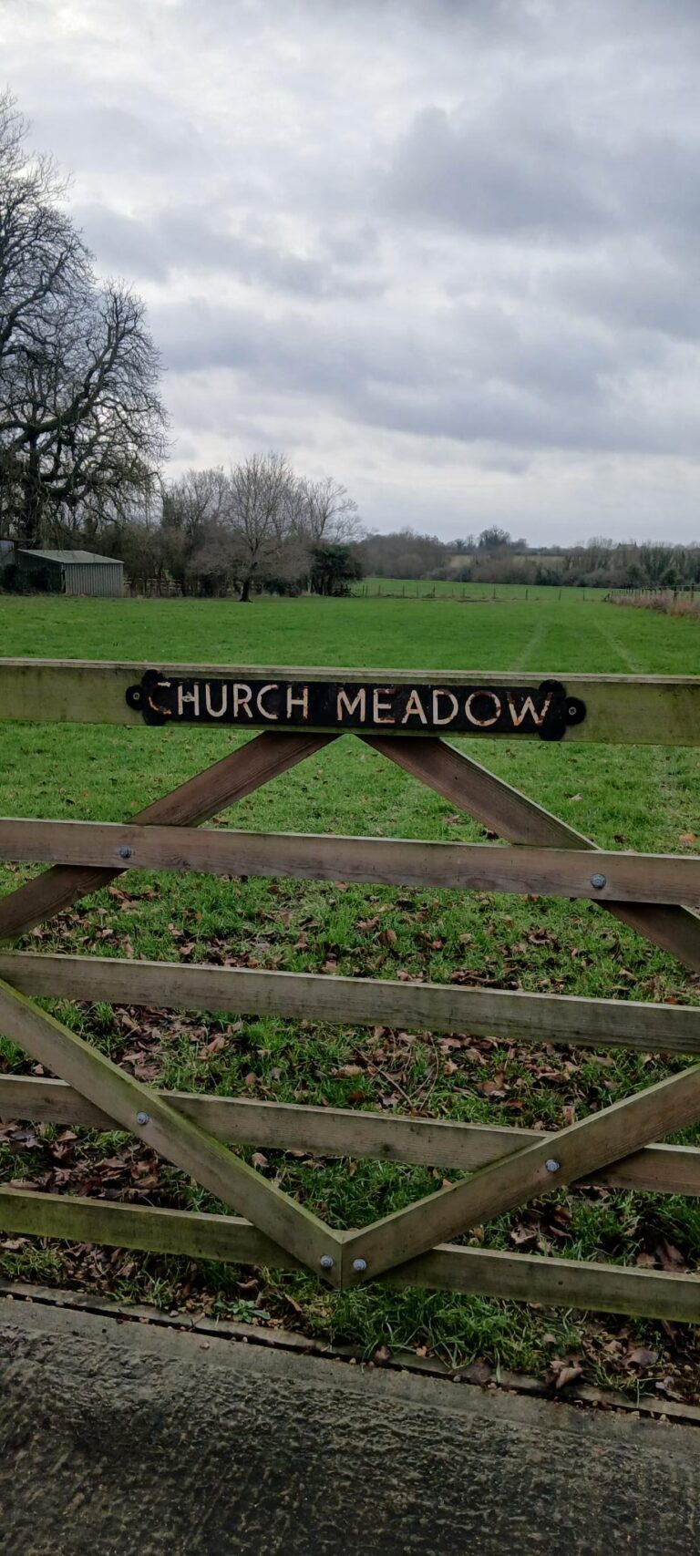 20260109 141056 768x1707