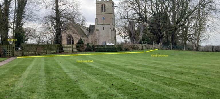 20260109 1412070 768x346