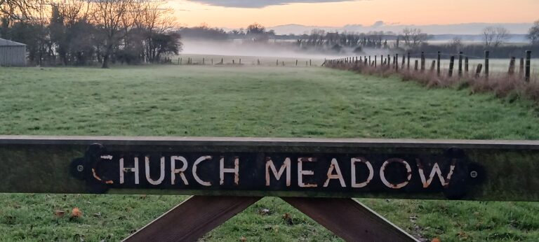 20260117 162536 768x346