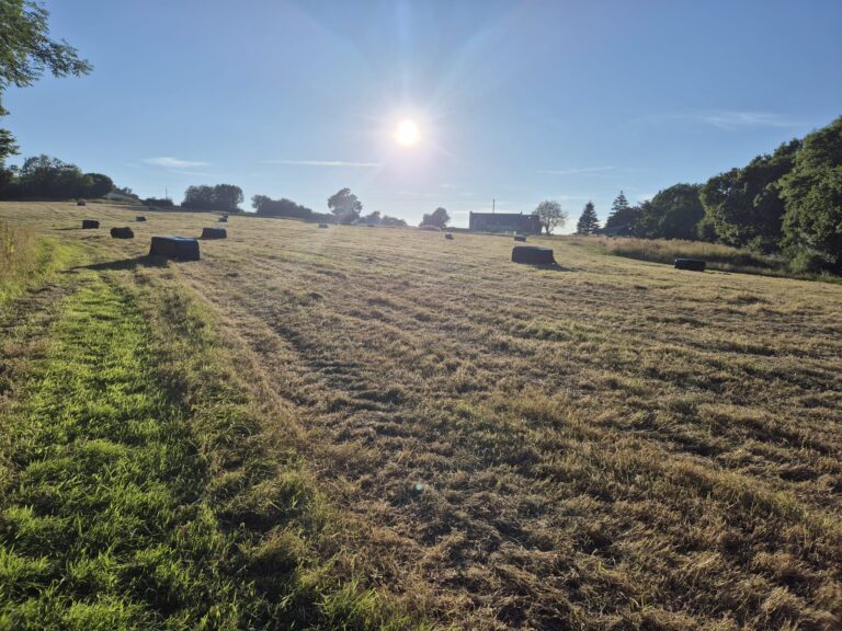 WhatsApp Image 2026 01 05 at 16.04.13 768x576