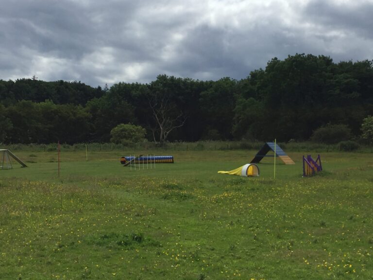 1024 0b95fb50fed162dcf16197c978773aa7 1 scaled 768x576