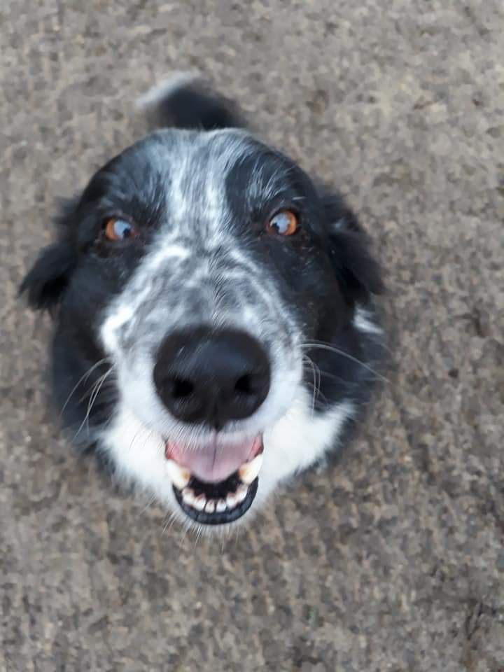 1030 263b82bbf2217f3cfae223586f1e03ea 1