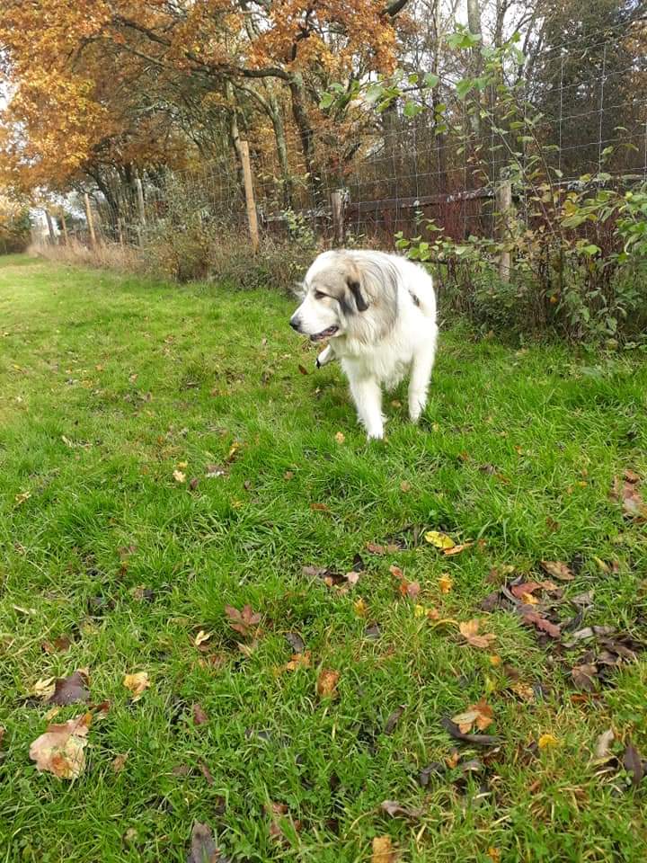 1030 2ed37a128455d94ae073ce4f6d4ae4c9 1