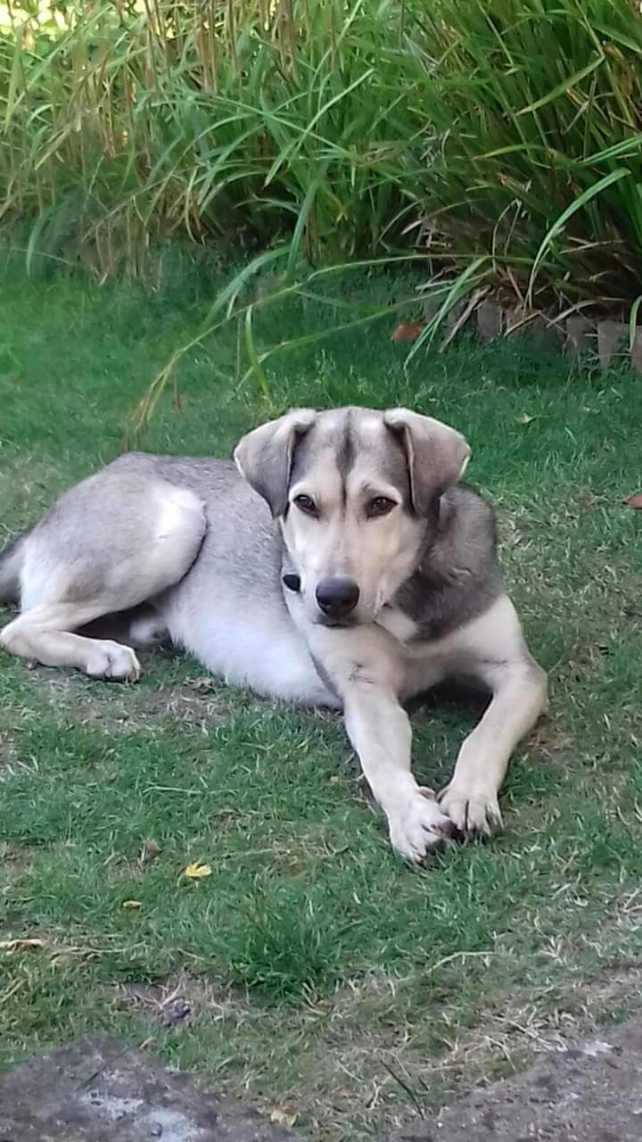 1030 3e34f0f5ff91add3121a9de01eb1b1fb 1