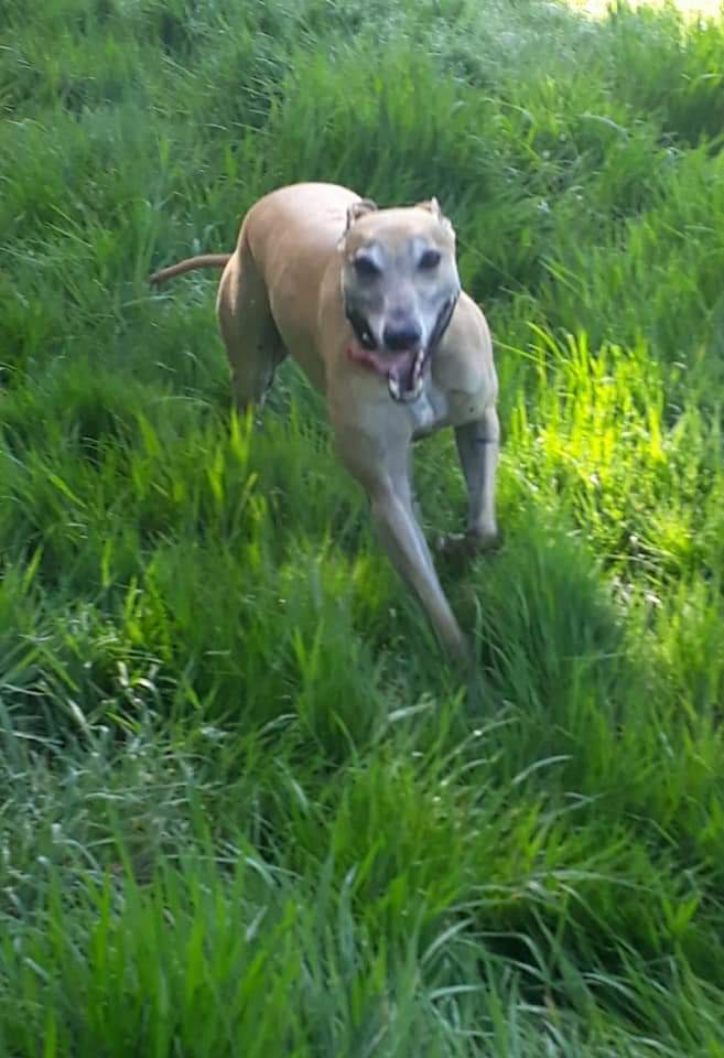 1030 58b4a50e46f66a0d84eef6134624ef59 1