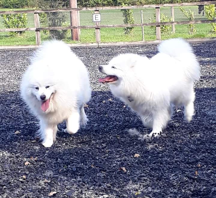 1030 6f68c5388d321de62c2eaef0796d90cf 1