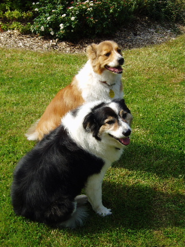 1030 726c1704c751763414f70f2cb431edee 1