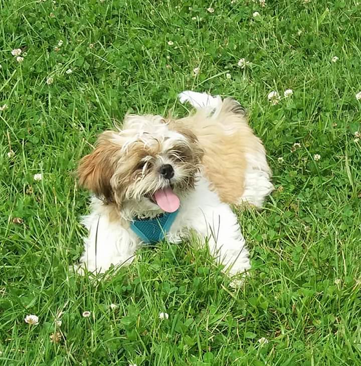 1030 73c33ac1832e711546750a0056e1edd3 1