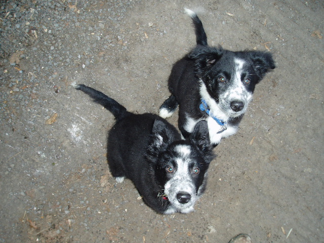 1030 75f01da2572f173aac6ff514f6d2b221 1