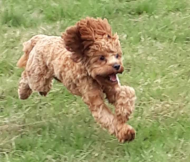 1030 85e2eb0ffb0403330dec62abcd90fe7f 1