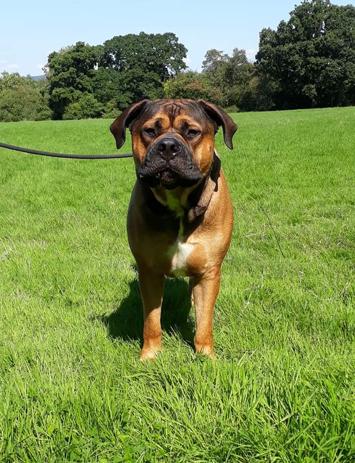 1030 ae9723dada2862b55d0622ed4e5d20ce 1