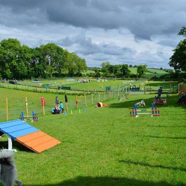 1034 be5027451d634ef7455e6beb65f347b7 1