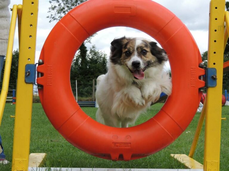 1034 dabd566d867676737e667c13a2f258fb 1 768x576